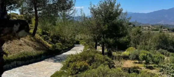 4 غرف نوم فيلا في Kellaki, Cyprus رقم 4246 28