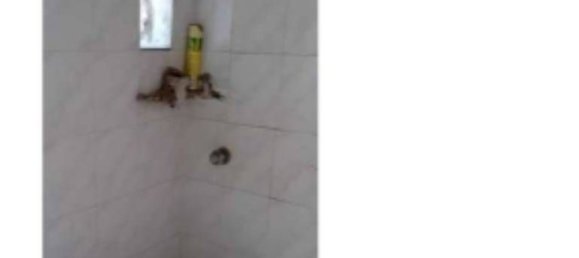 3 rooms Apartment in Naples, Italy No. 265732 6