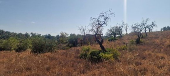 11217m² Land in Loule, Portugal No. 137819 9