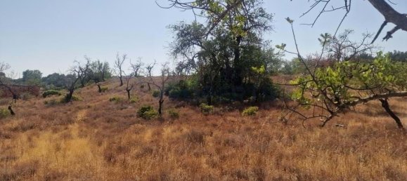 11217m² Land in Loule, Portugal No. 137819 7