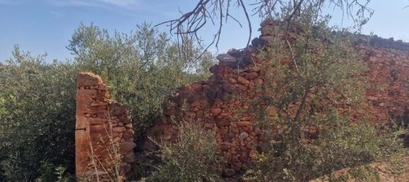 11217m² Land in Loule, Portugal No. 137819 14