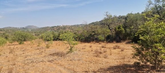 11217m² Land in Loule, Portugal No. 137819 22
