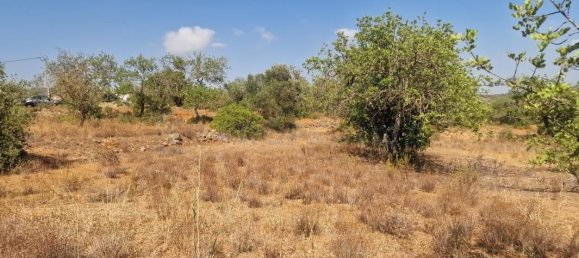 11217m² Land in Loule, Portugal No. 137819 30