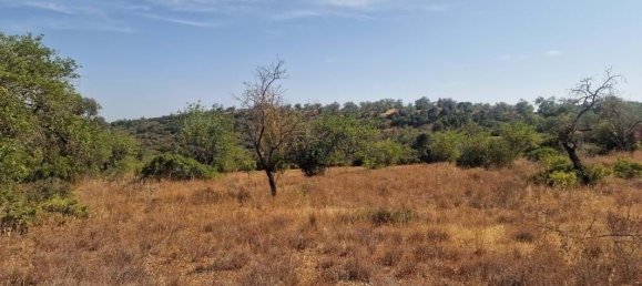 11217m² Land in Loule, Portugal No. 137819 8