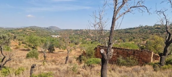 11217m² Land in Loule, Portugal No. 137819 11