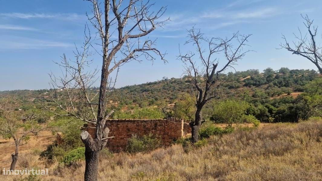 11217m² Land in Loule, Portugal No. 137819