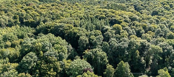 Terreno en Rhein-Sieg, Germany No. 274359 14