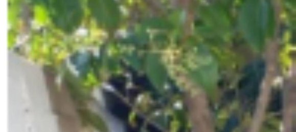 Propriété commerciale à Ostuni, Italy 47m² No. 180795 11