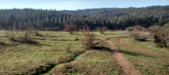 Terreno en Biobío, Chile No. 848 2