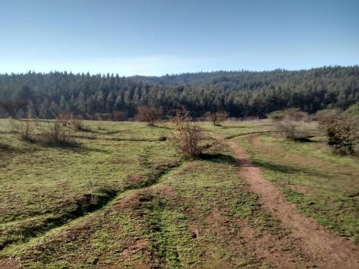 Terreno en Biobío, Chile No. 848