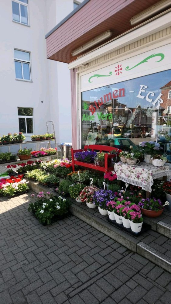 Gewerbliche Immobilie in Schwerin, Germany, Nr. 279249