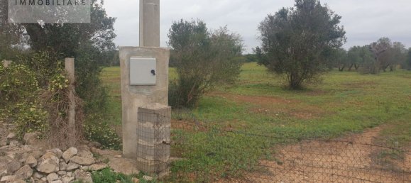 1070m² Land in Ugento, Italy No. 165247 2