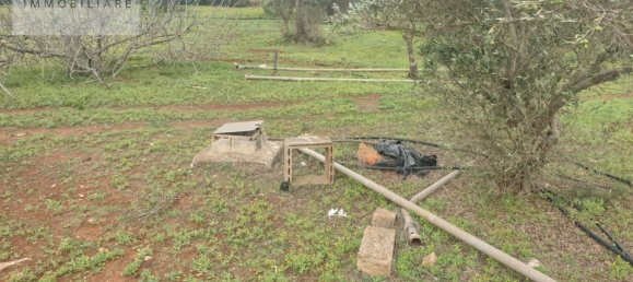 1070m² Land in Ugento, Italy No. 165247 5