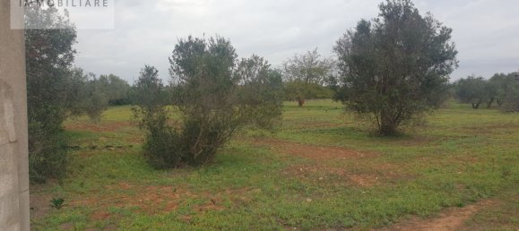 1070m² Land in Ugento, Italy No. 165247 6
