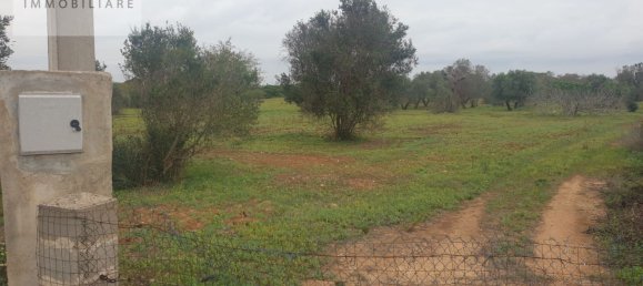 1070m² Land in Ugento, Italy No. 165247 3