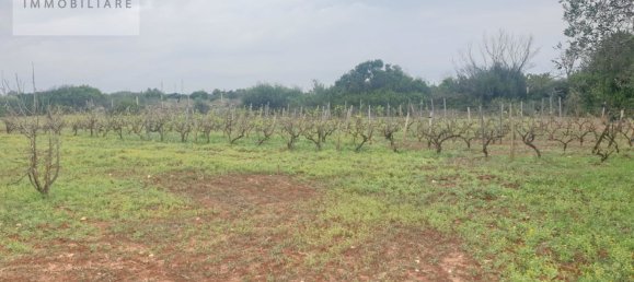 1070m² Land in Ugento, Italy No. 165247 8