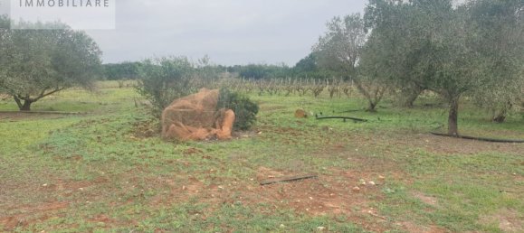 1070m² Land in Ugento, Italy No. 165247 7