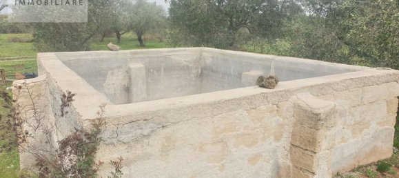 1070m² Land in Ugento, Italy No. 165247 9