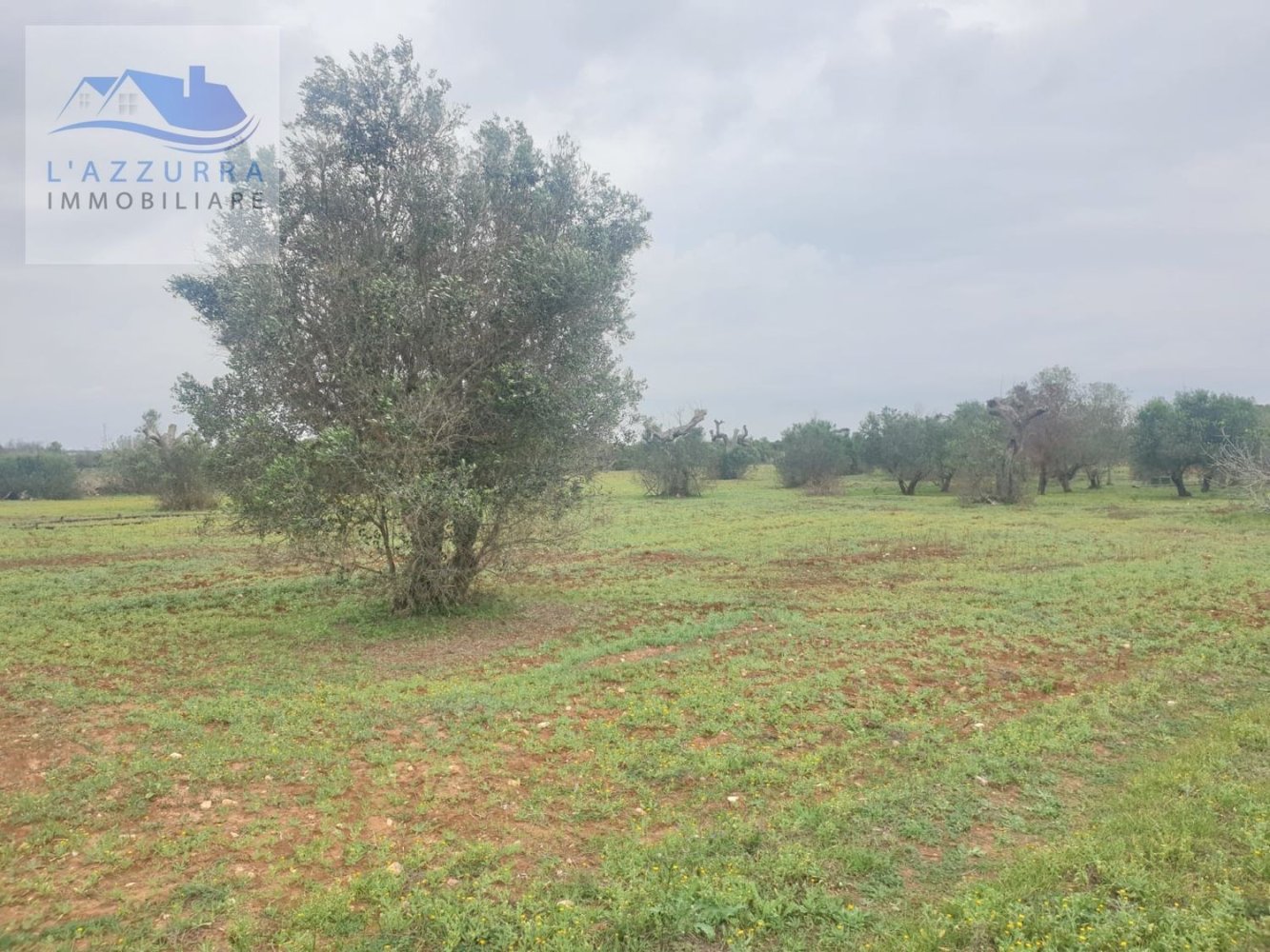 1070m² Land in Ugento, Italy No. 165247