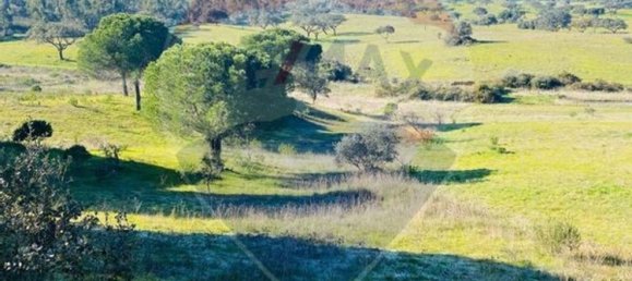 13 غرف نوم قلاع في Grandola, Portugal رقم 48660 17