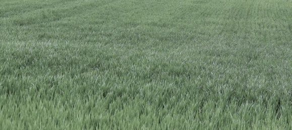  قطعة أرض في Drache, France 1559متر مربع رقم 160989 3