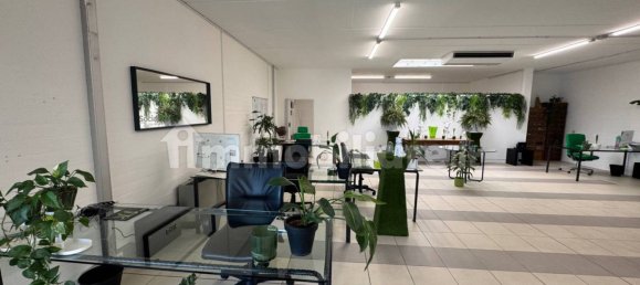 2-Zimmer Büro in Udine, Italy, Nr. 325227 2