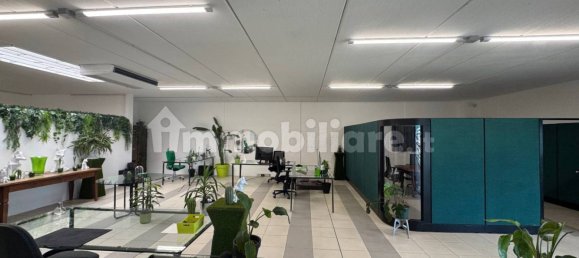 2-Zimmer Büro in Udine, Italy, Nr. 325227 6