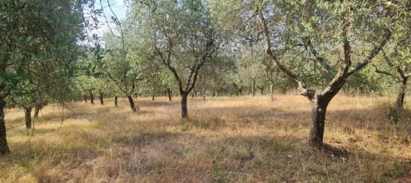 2غرفة منزل في Bucine, Italy رقم 234182 6