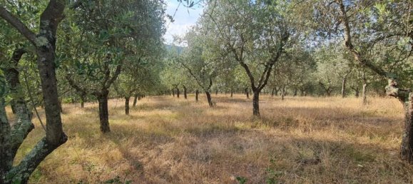 2غرفة منزل في Bucine, Italy رقم 234182 5