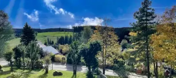 استوديو في Schwarzwald-Baar-Kreis, Germany رقم 65431 3