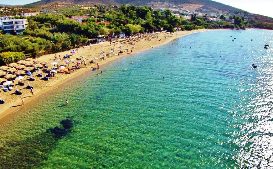 3659m² Hotel in Polygyros, Greece No. 6821