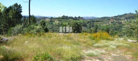10300m² Land in Marco de Canaveses, Portugal No. 59608 4