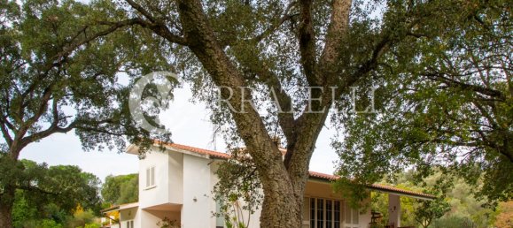 3 bedrooms Villa in Castiglione della Pescaia, Italy No. 232105 53