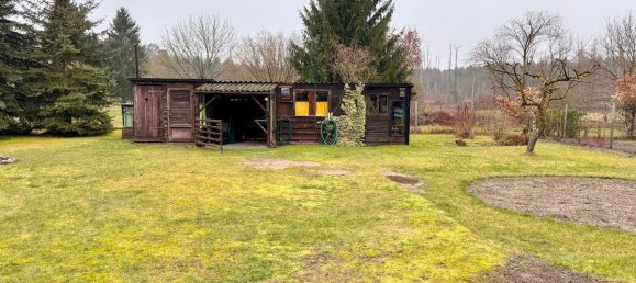 3-Zimmer Bungalow in Mecklenburgische Seenplatte, Germany, Nr. 211368 6