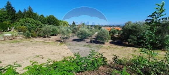  قطعة أرض في Nelas, Portugal 355متر مربع رقم 38379 2