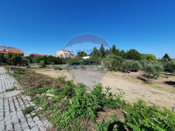  قطعة أرض في Nelas, Portugal 355متر مربع رقم 38379