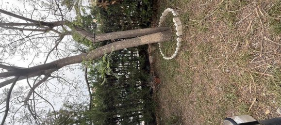 4 Schlafzimmer Villa in Elda, Spain, Nr. 160736 8