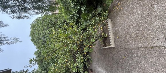 4 Schlafzimmer Villa in Elda, Spain, Nr. 160736 13