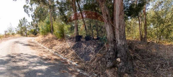 1700m² Land in Sintra, Portugal No. 67300 4