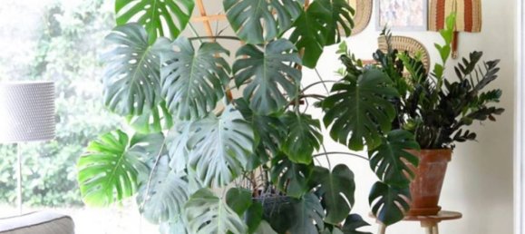 Квартира с 2 спальнями в Флоренция, Италия № 200704 18