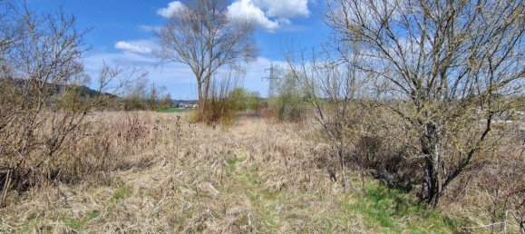 8700m² Land in Timelkam, Austria No. 203330 7