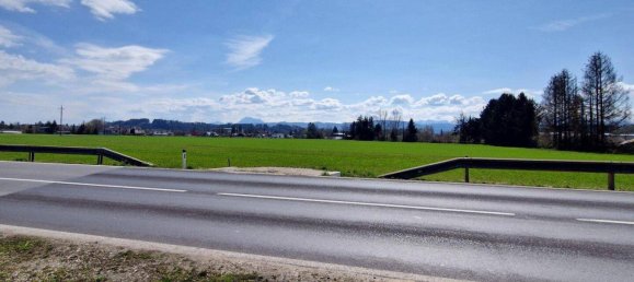 8700m² Land in Timelkam, Austria No. 203330 8