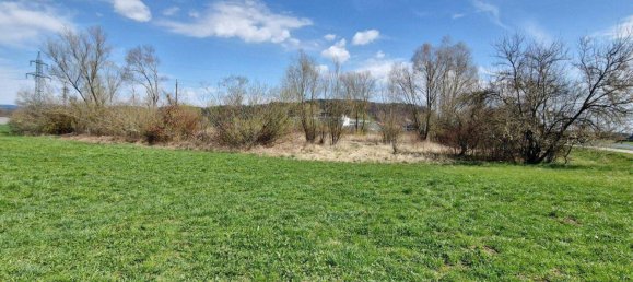 8700m² Land in Timelkam, Austria No. 203330 5
