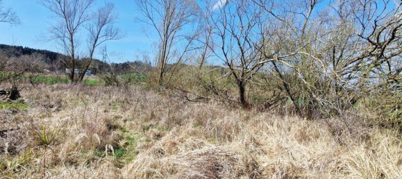 8700m² Land in Timelkam, Austria No. 203330 4