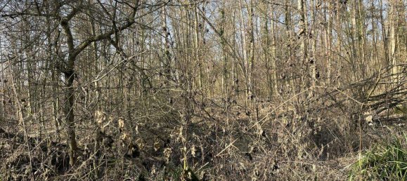 Таунхаус с 9 комнатами в Баден-Вюртемберг, Германия № 5446 28