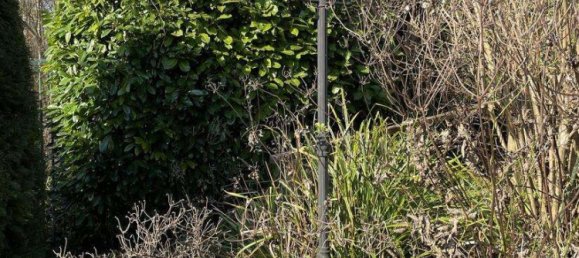 Таунхаус с 9 комнатами в Баден-Вюртемберг, Германия № 5446 26