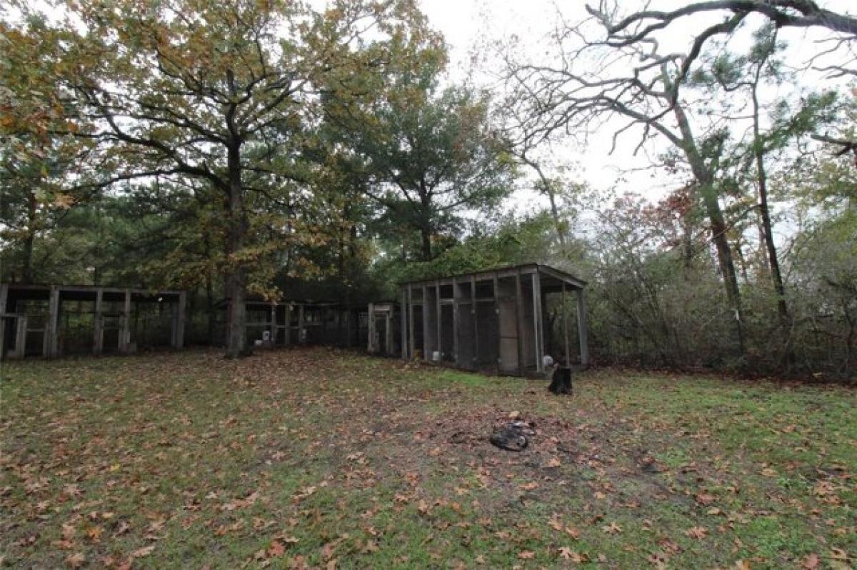 Terreno en Trinity, USA No. 495543