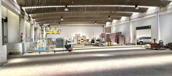 Склад 5982м² в Nardò, Италия № 331431 23