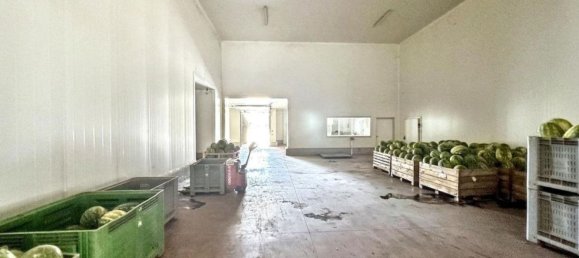 Склад 5982м² в Nardò, Италия № 331431 24