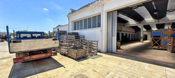 Склад 5982м² в Nardò, Италия № 331431 5